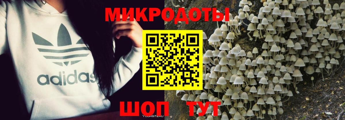 Энгельс  Галлюциногенные грибы Psilocybe  Вход с VPN  Галлюциногенные грибы GOLDEN TEACHER 