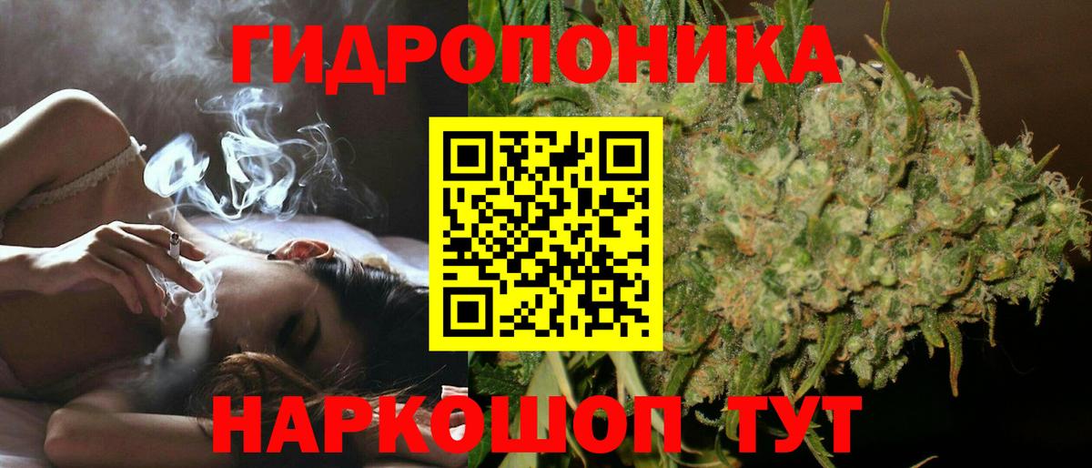 Канабис Ganja  Шишки марихуана семена  Вход с VPN  Каннабис планчик  Энгельс 